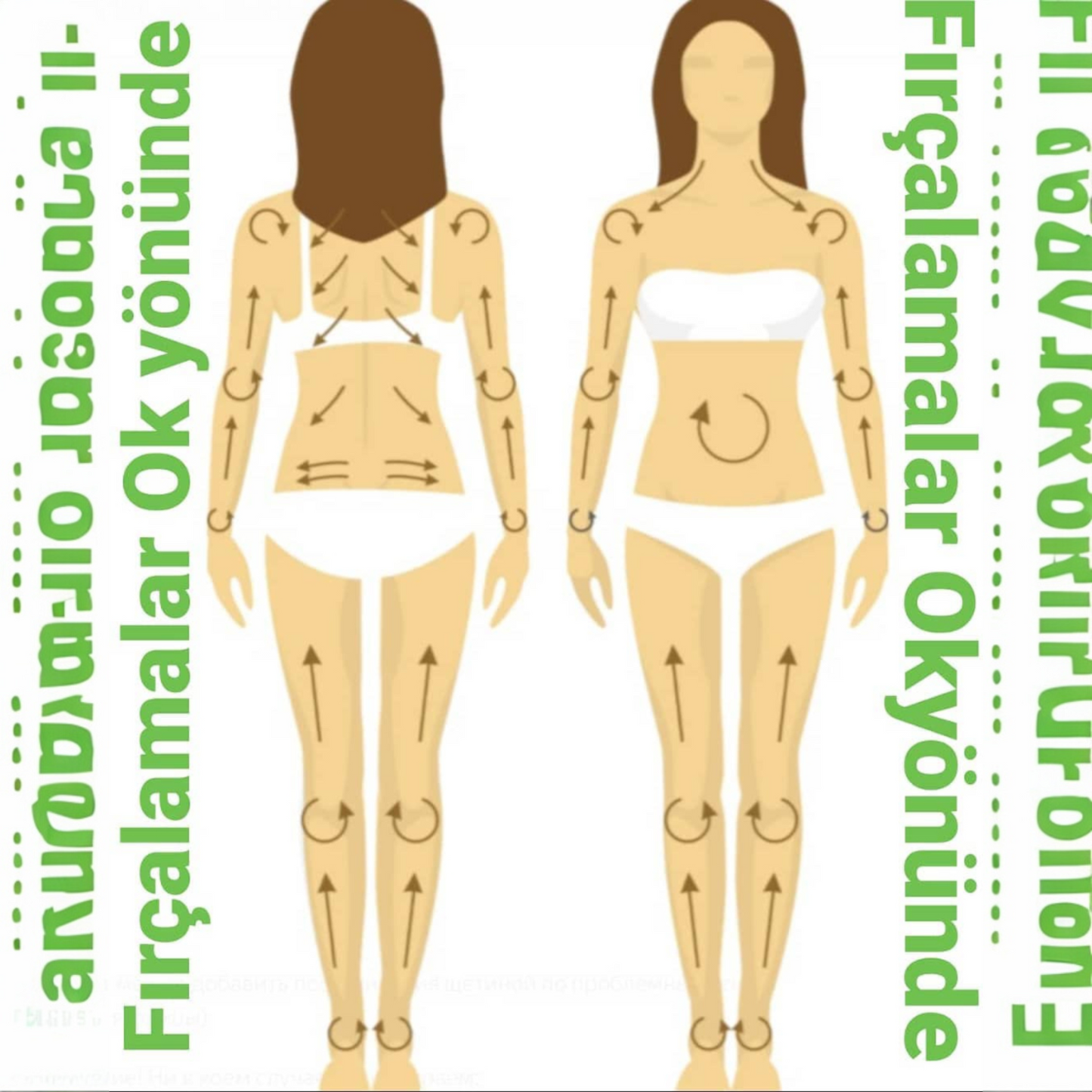 Naturawel® Doğal At Kılı Selülit Fırçası